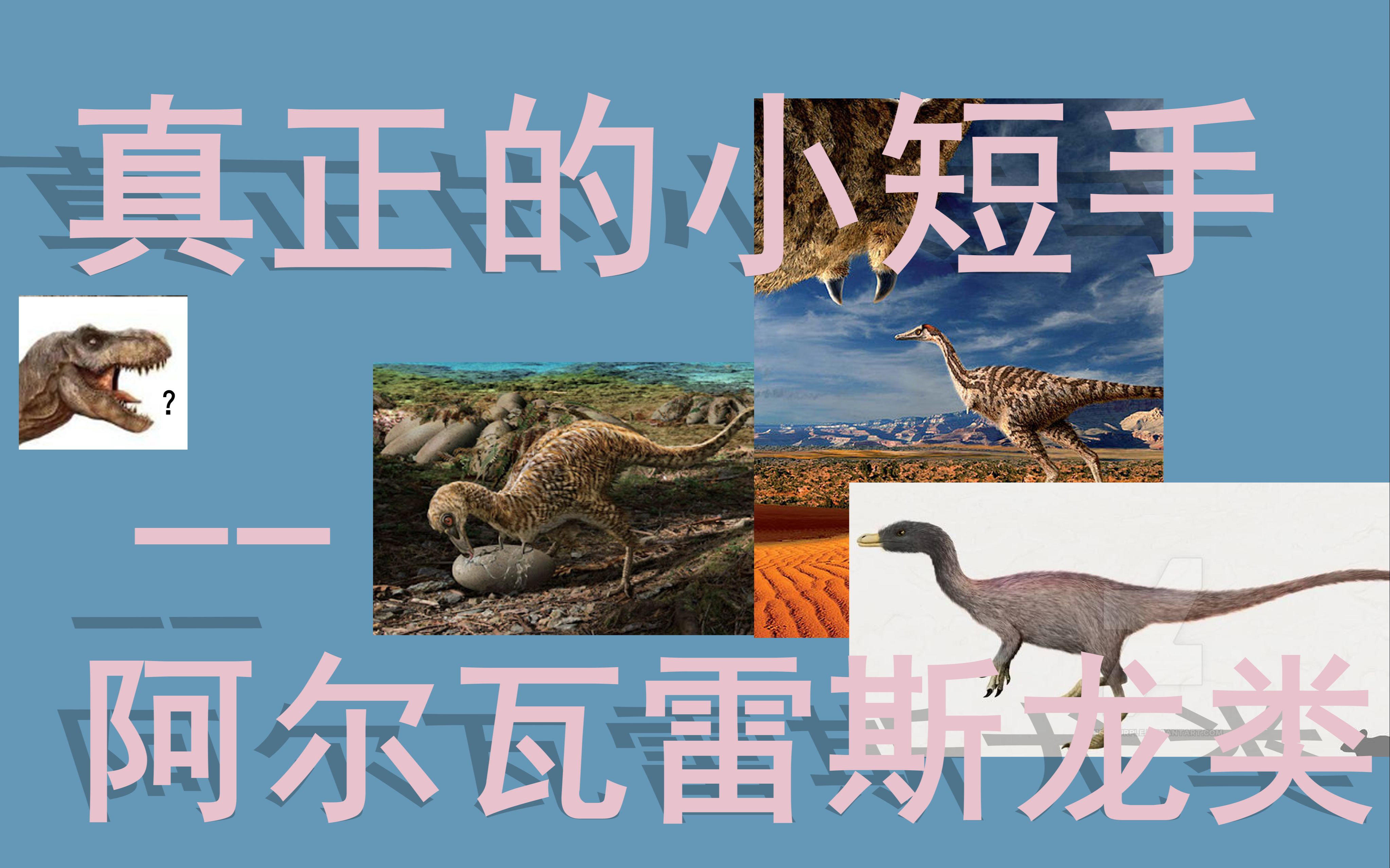 比霸王龙还短的真正小短手阿尔瓦雷斯龙类阿瓦拉慈龙类