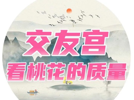 紫微斗数:怎么从交友宫,看桃花的质量!哔哩哔哩bilibili