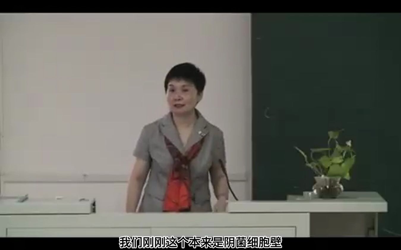 细菌的形态和结构(下) 北京大学 医学微生物学哔哩哔哩bilibili