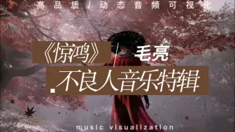 Download Video: ｛高品质/动态音频可视化｝《惊鸿》~毛亮/不良人音乐特辑