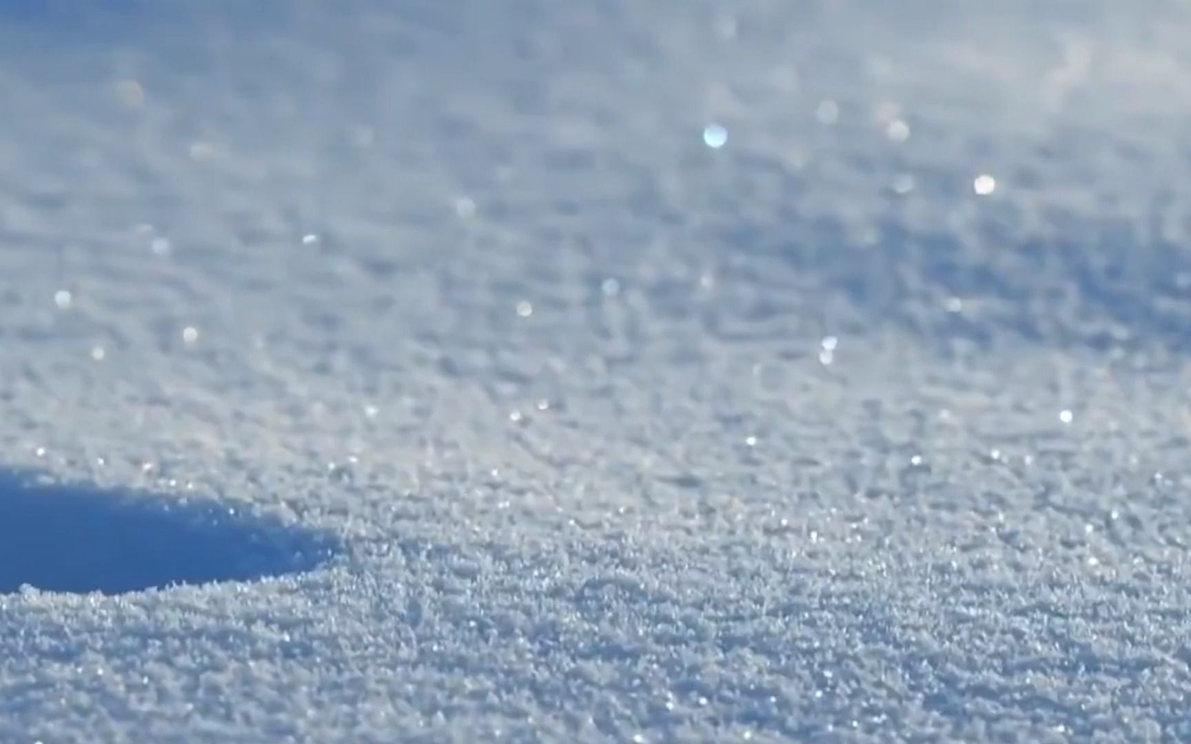 [图]月色与雪色之间，你是第三种绝色。初雪什么时候落下呢？