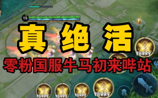 【南宫王者荣耀】囯服艾琳首次整活儿 ,希望大家看