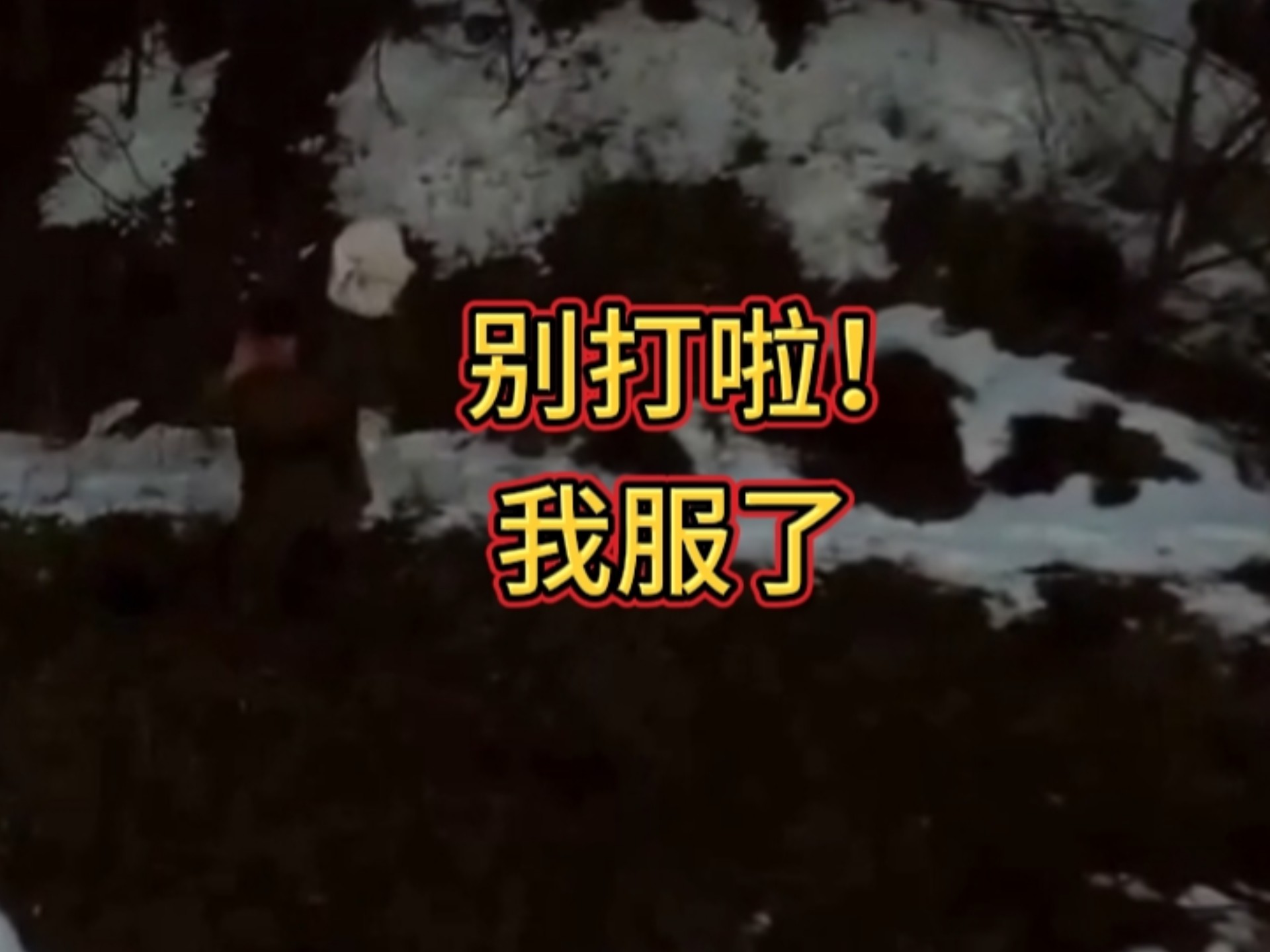 一名乌军举白旗投降