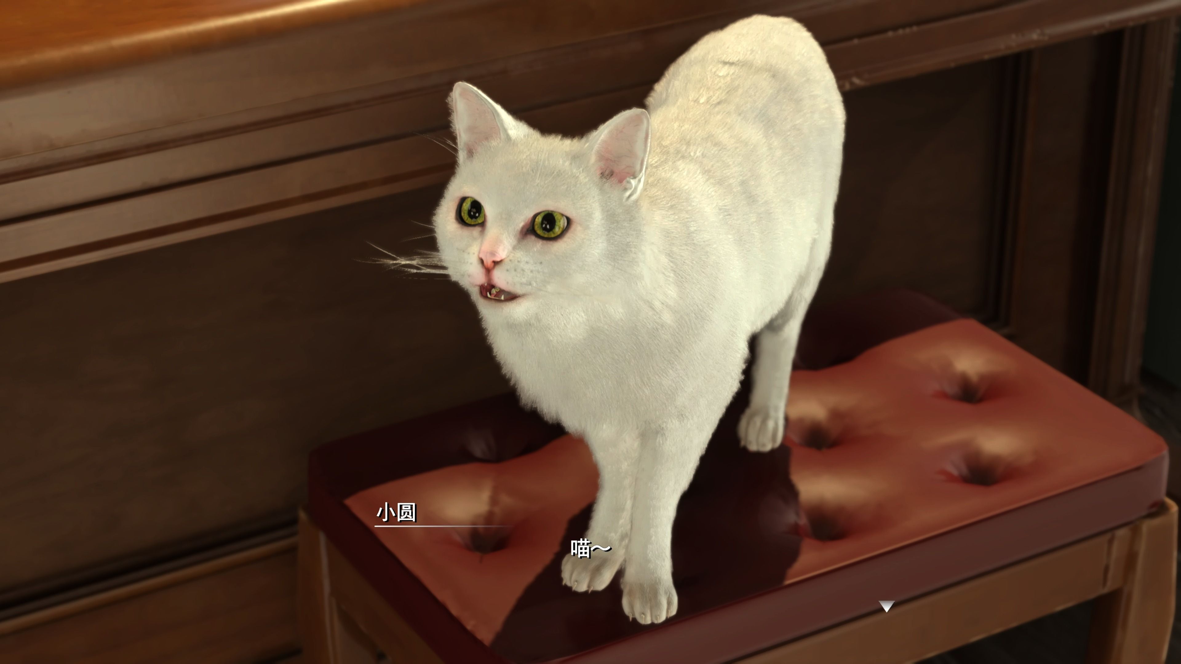 ff7重生-尼布尔海姆钢琴支线 aeriths theme[s]