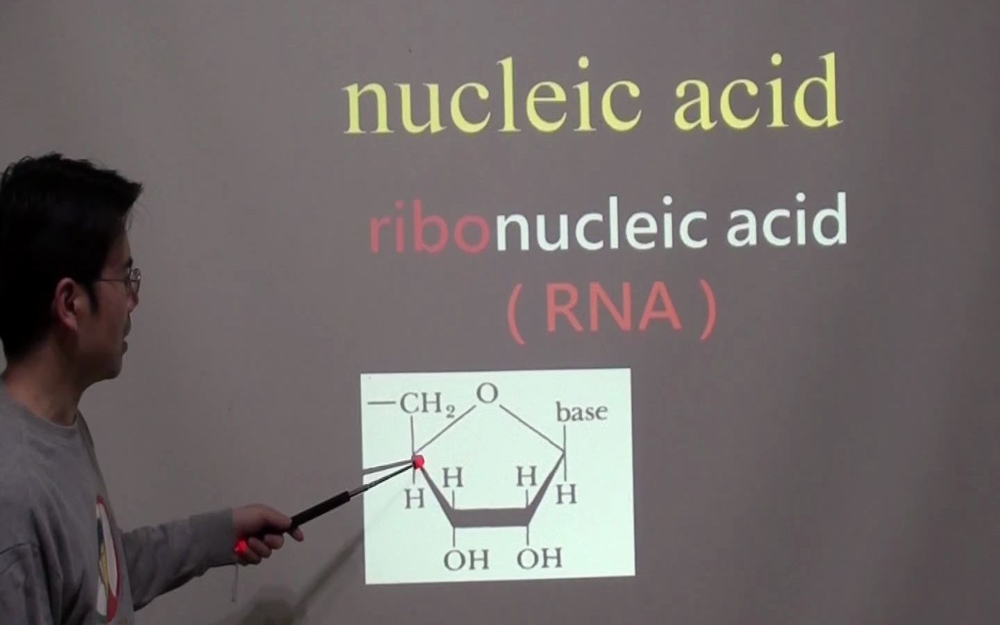 看英文学生物看生物学英文009 核酸 核苷酸 嘌呤 嘧啶 nucleic acid s002 生物专业英文 双语教学 bilingual 学中文哔哩哔哩bilibili