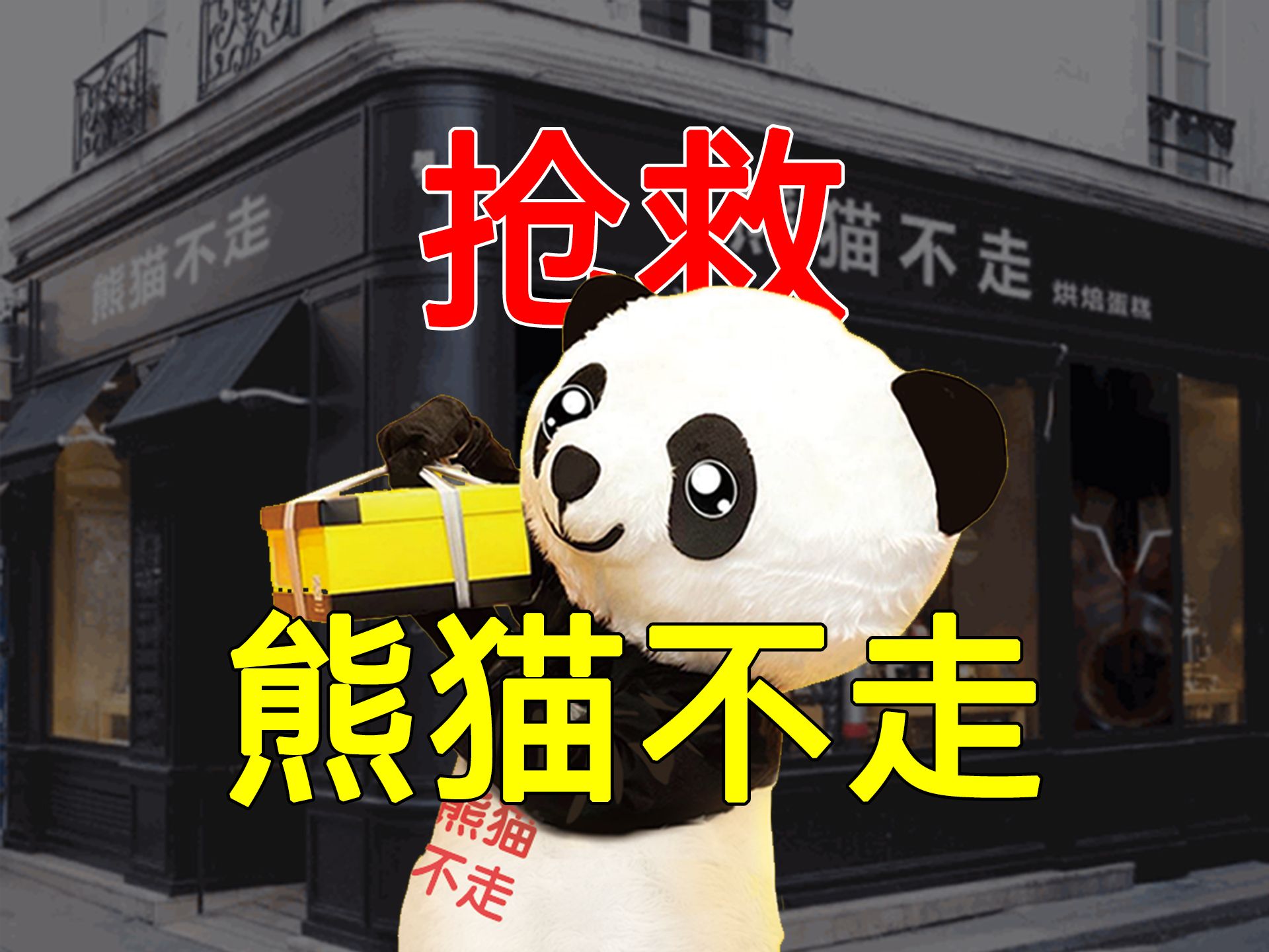 熊猫不走行不行?我养你呀!