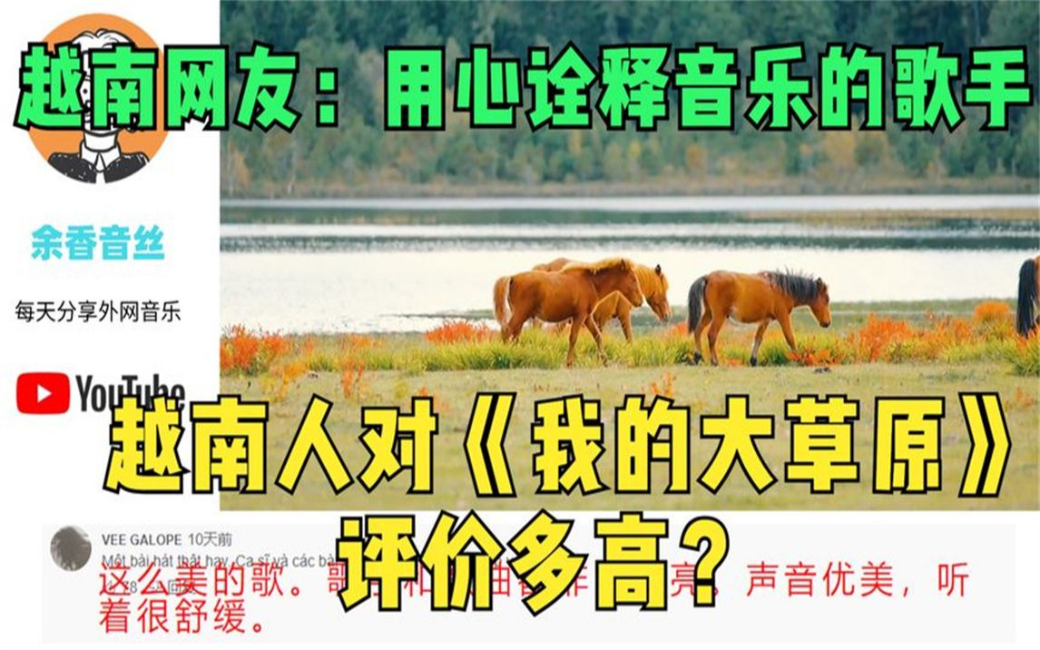 [图]越南人对《我的大草原》评价多高？越南网友：用心诠释音乐的歌手