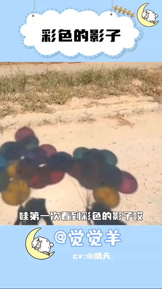 彩色的影子