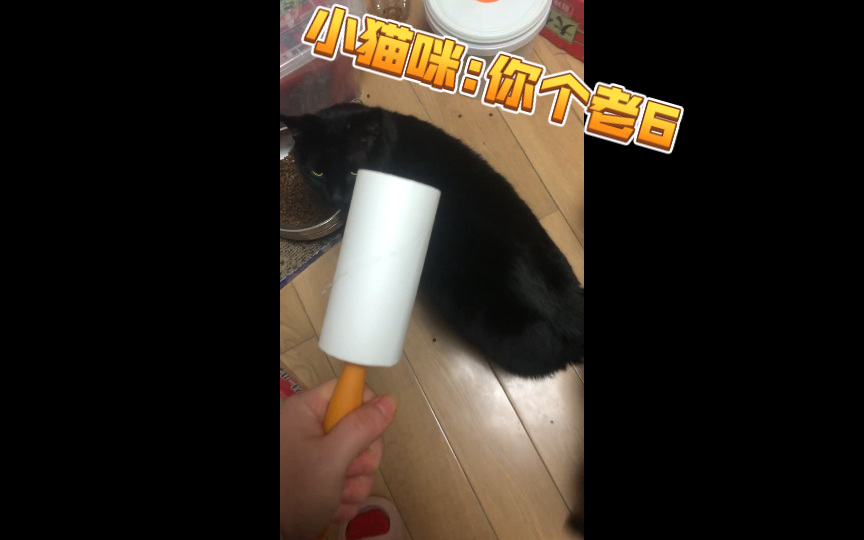 关于粘毛器“正确”使用方法哔哩哔哩bilibili