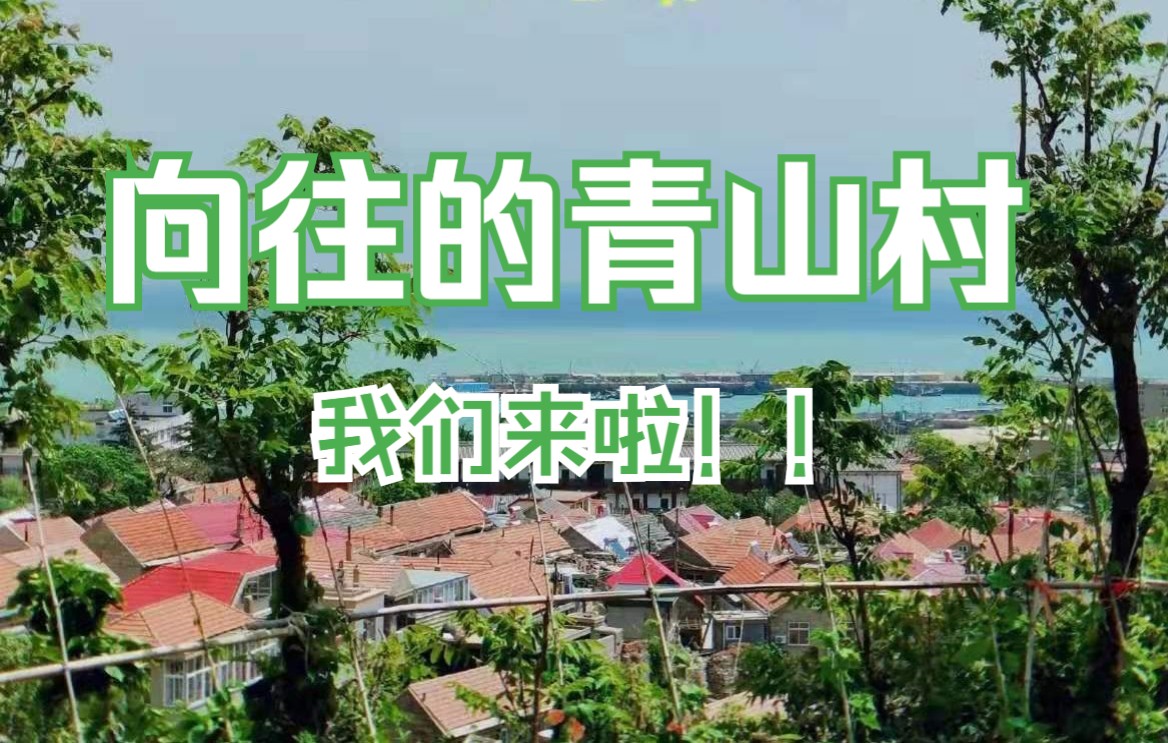 [图]【综艺《向往的青山村》】听说那个毕业典礼超神的青岛大学把课堂搬到了中国最美渔村？！