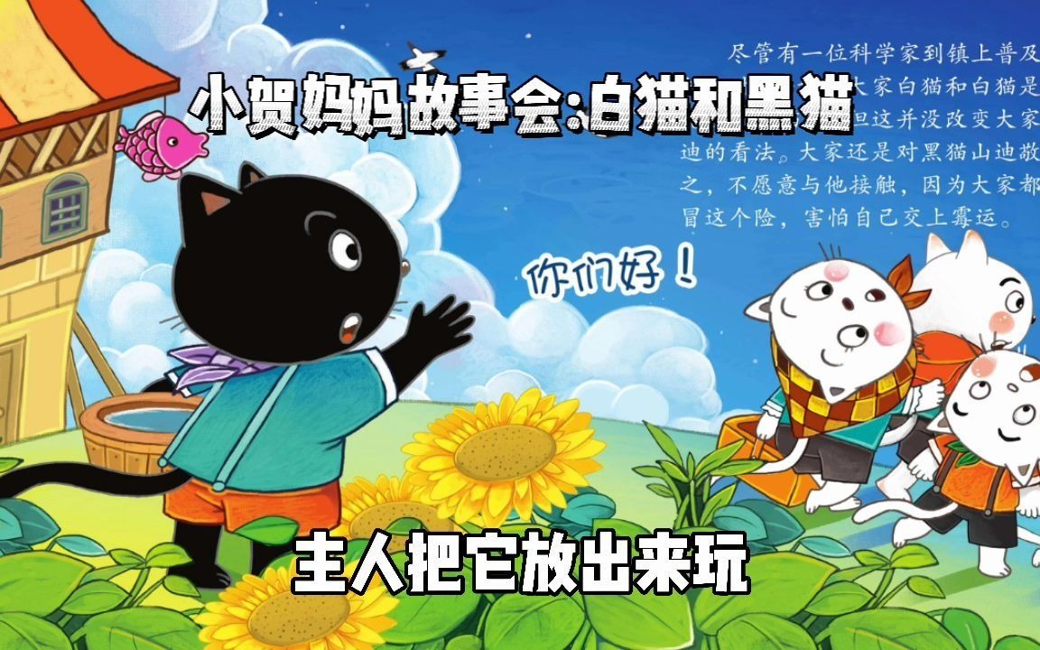 白猫和黑猫哔哩哔哩bilibili