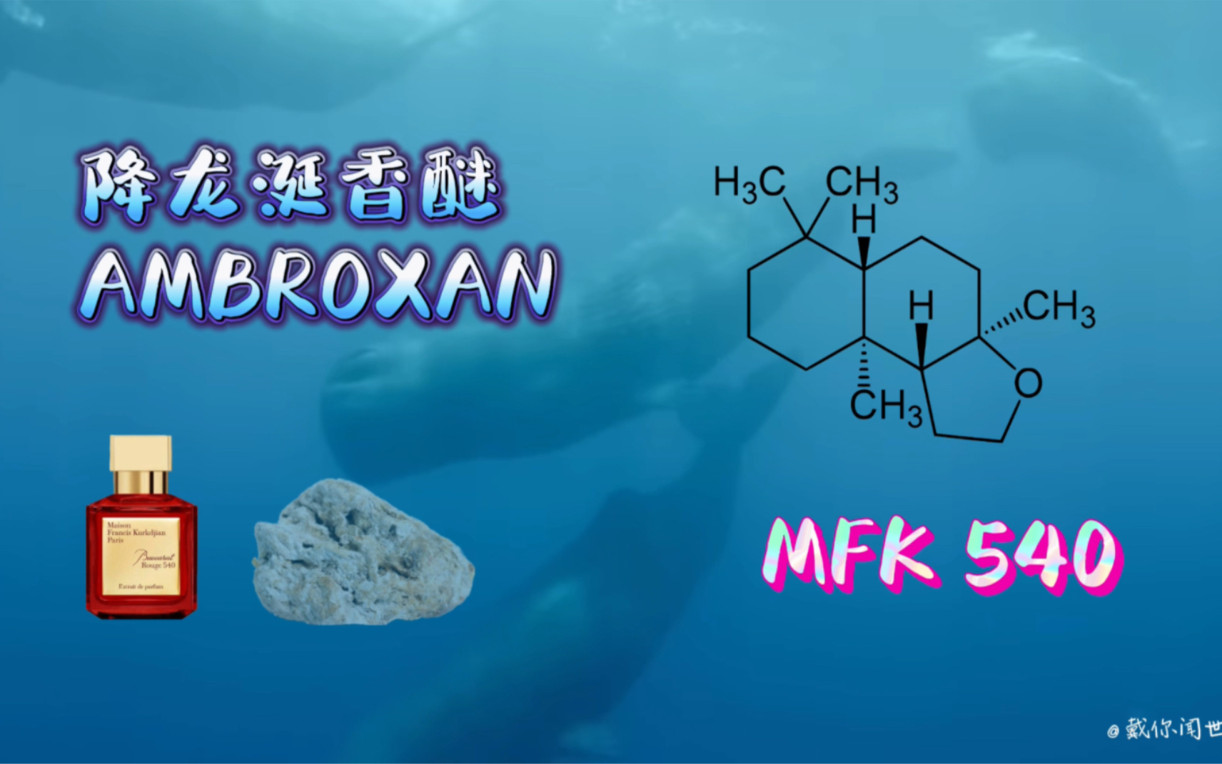 香水原料:降龙涎香醚(AMBROXAN)| 香评:MFK 540 晶红540哔哩哔哩bilibili