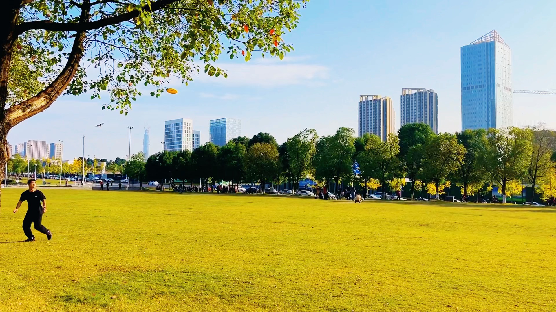 成都东站旁的"中央公园"