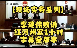 Descargar video: 【现场实务系列】李大佬败诉 红河州建工合同纠纷案  1小时全字幕版