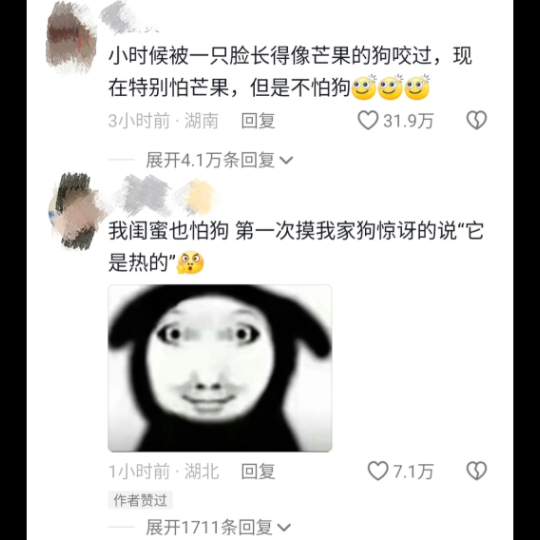 当怕狗的朋友第一次摸狗的反应be like哈哈哈哈哈哈 哔哩哔哩bilibili