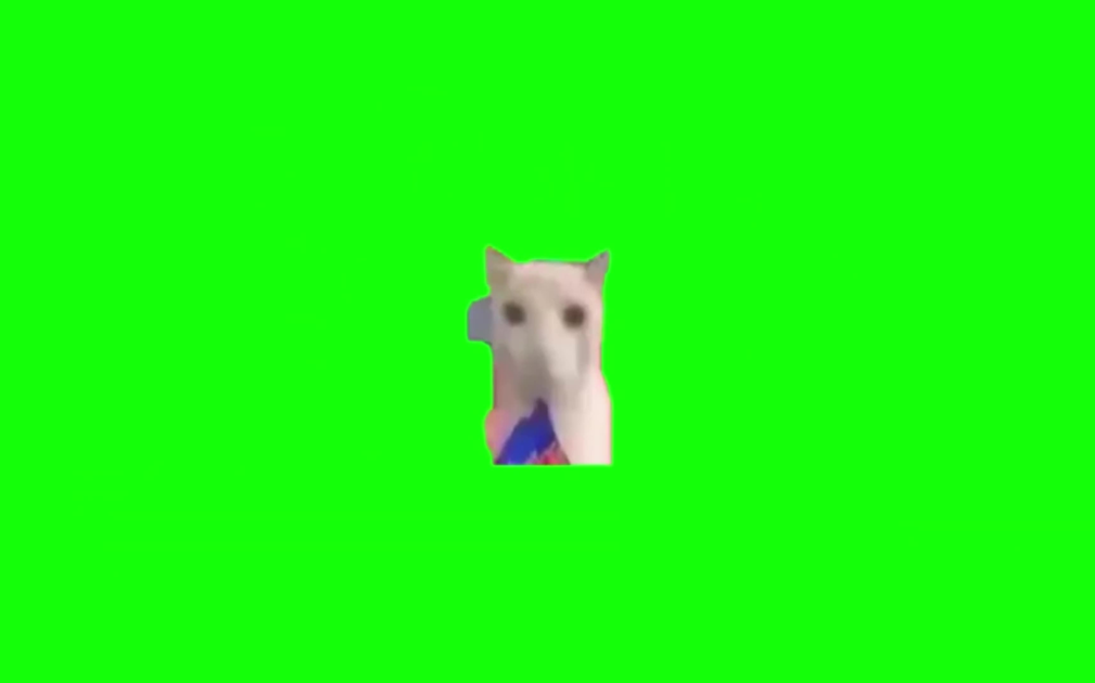 猫meme素材大集合(素材有背景)(下)_哔哩哔哩_bilibili