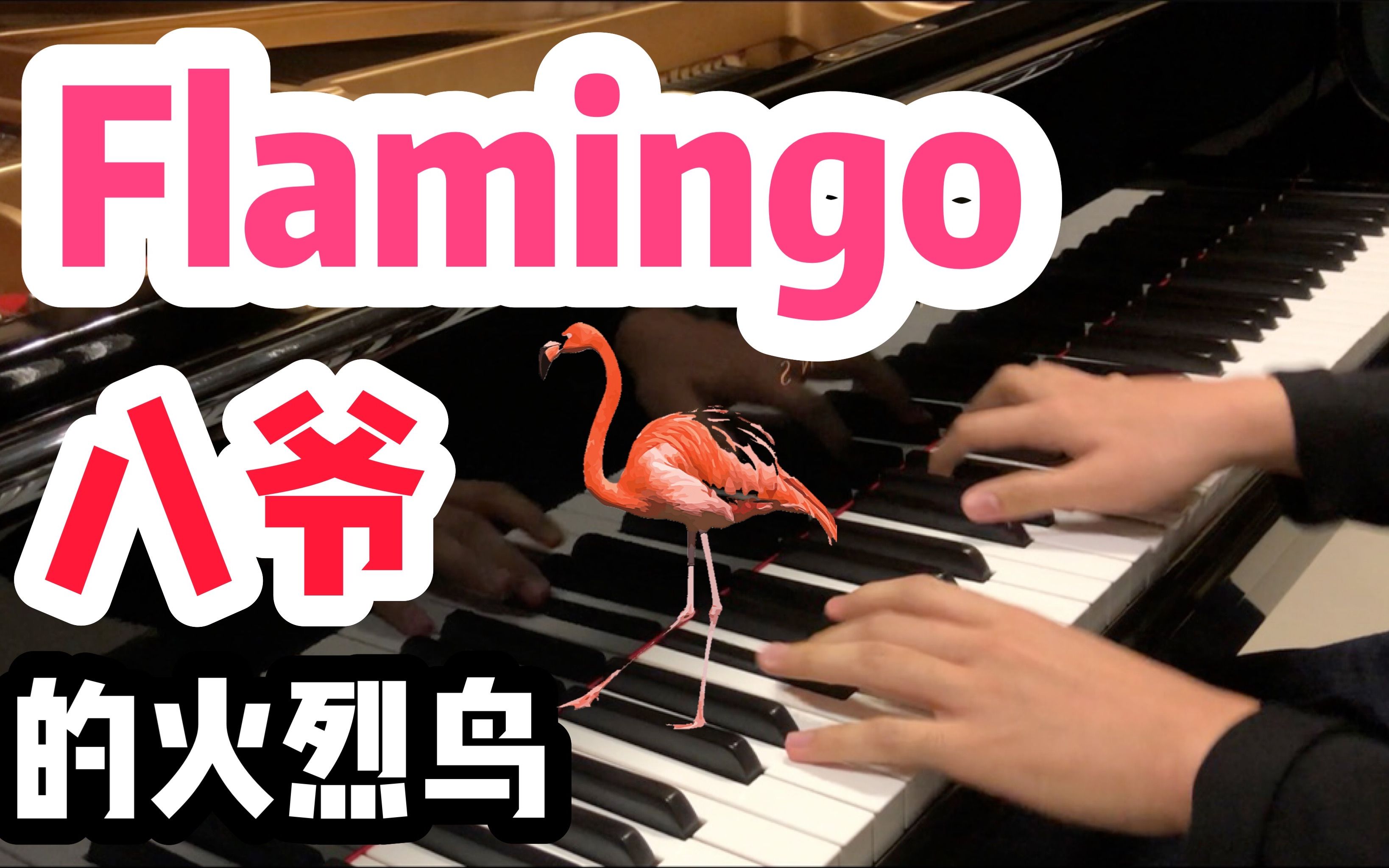 火烈鸟 fla.....fla.....fla.....Flamingo哔哩哔哩bilibili