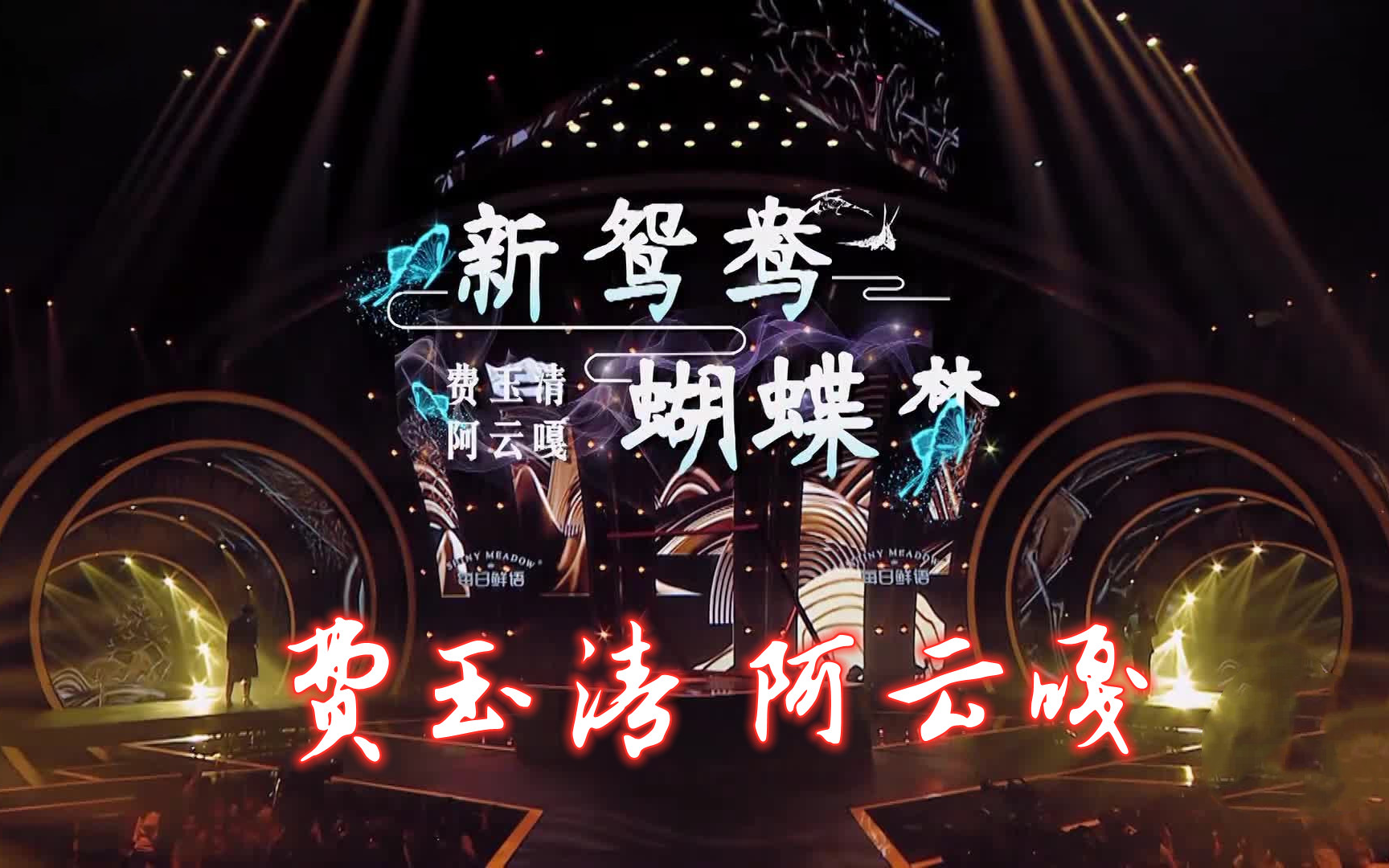 【高清版】【纯净版】新鸳鸯蝴蝶梦 费玉清 阿云嘎 我们的歌
