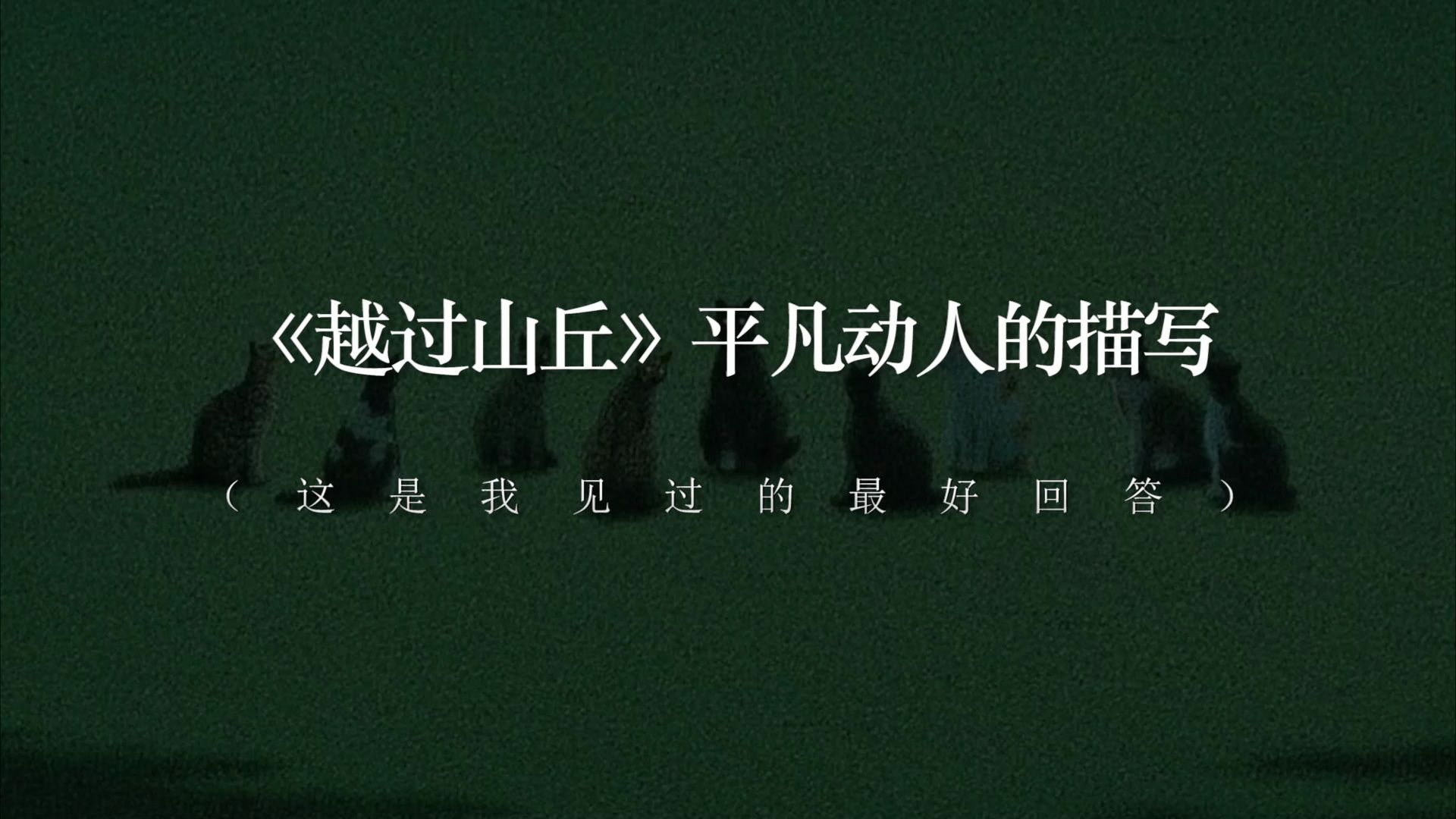 “谁掌握了记忆,谁就掌握了不灭的希望.”丨邱兵《越过山丘》哔哩哔哩bilibili