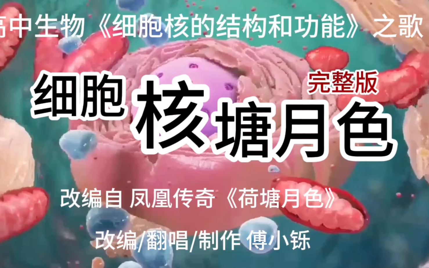 [图]【高中生物】细胞核的结构和功能之歌【完整版】