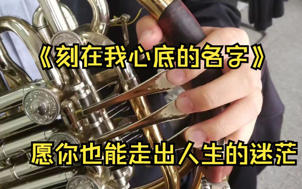 【圆号演奏】 《刻在我心底的名字》 希望我心底也能有这样一个名字哔哩哔哩bilibili