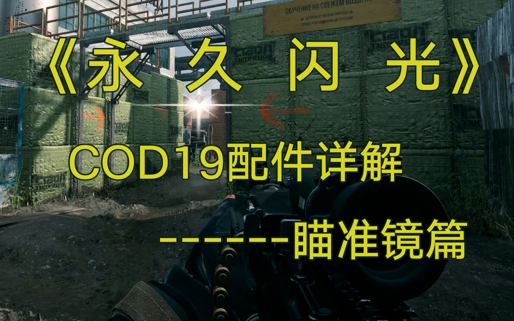 【使命召唤19】《永 久 闪 光》COD19配件详解瞄准镜篇哔哩哔哩bilibiliCOD