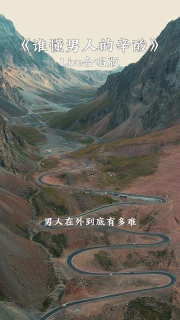 不管大风大浪,辛酸苦楚,最终还是要自己去扛,这就是男人的苦,男人的累