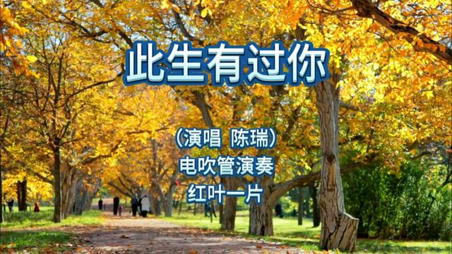 电吹管演奏《此生有过你》