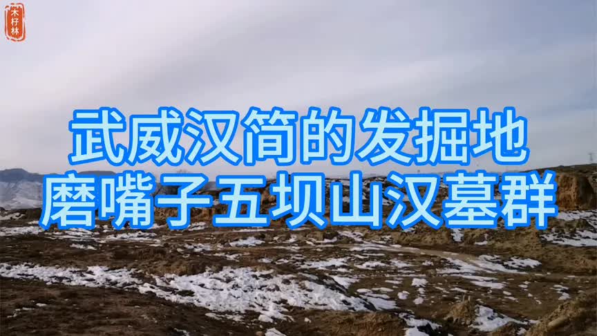 国宝文物汉简《王杖十简》《仪礼简》的出土地武威磨嘴子汉墓群哔哩哔哩bilibili