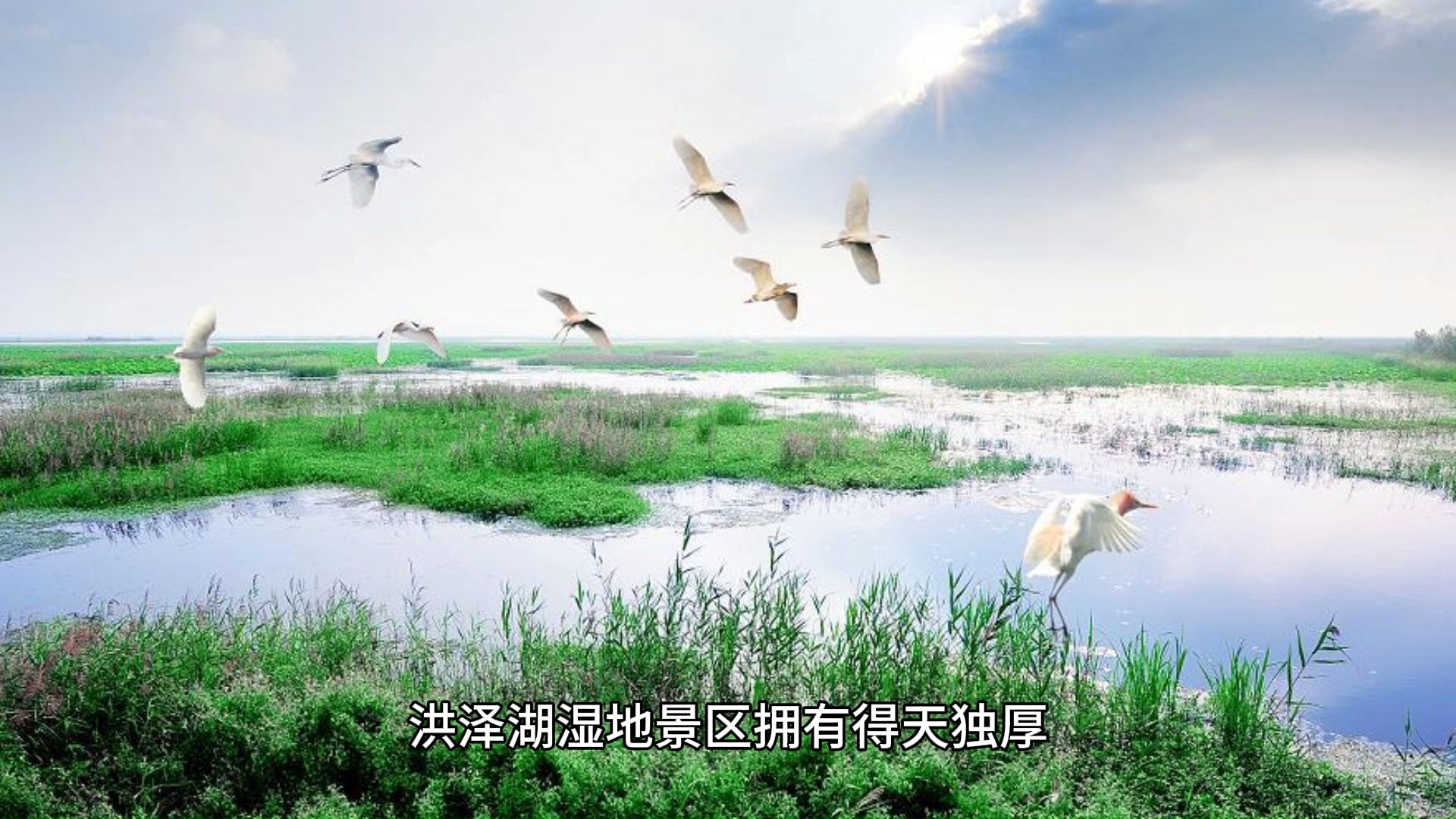 05碧波荡漾,洪泽湖湿地的生态秘境