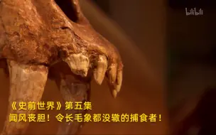 Download Video: 【史前世界】看点1：闻风丧胆！令长毛象都没辙的捕食者！竖版