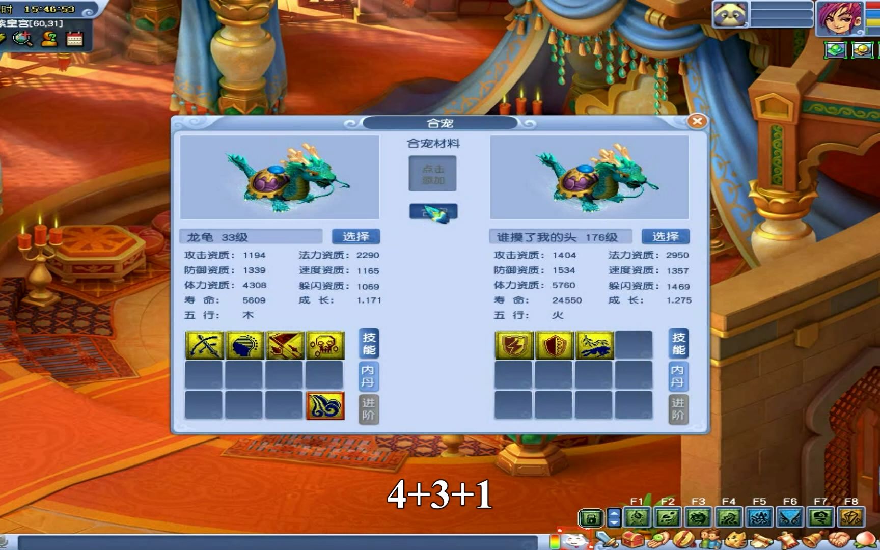 梦幻西游:死亡龙龟合法防龙龟会出什么龟?大海龟吗?
