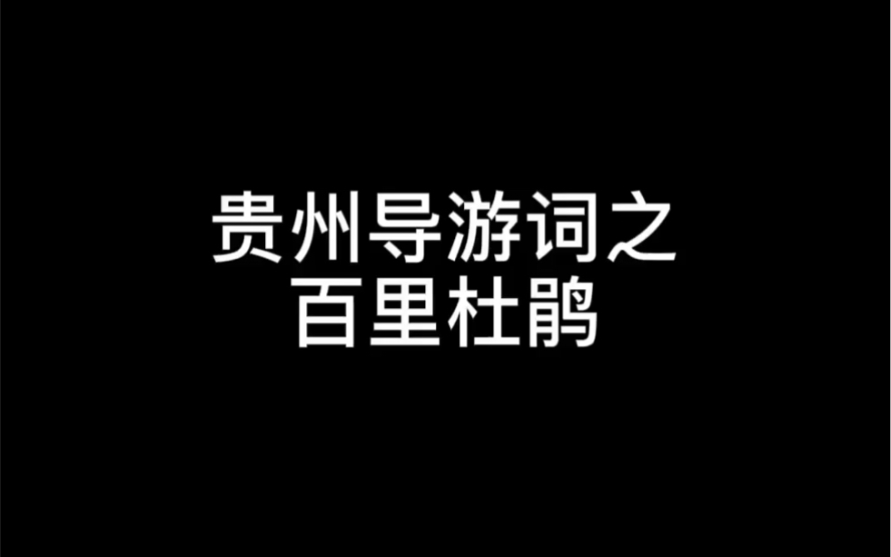 贵州导游词之百里杜鹃哔哩哔哩bilibili