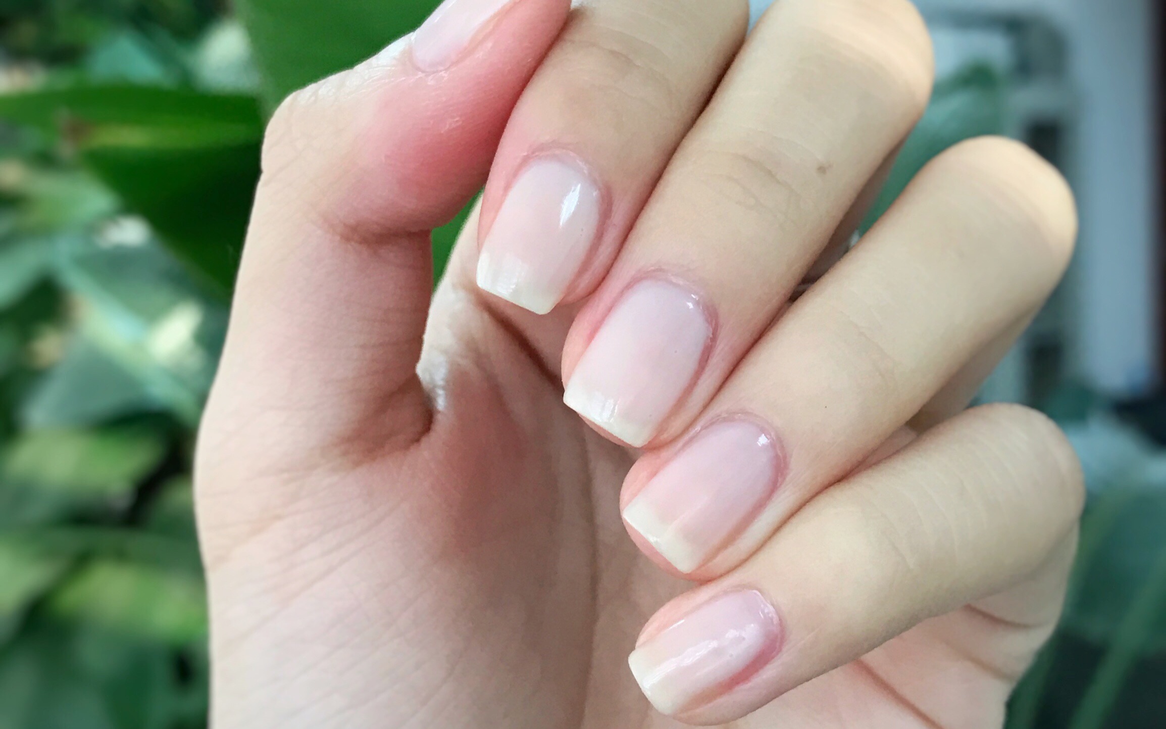 木木夕mona新手必看如何修出好看的方圆甲