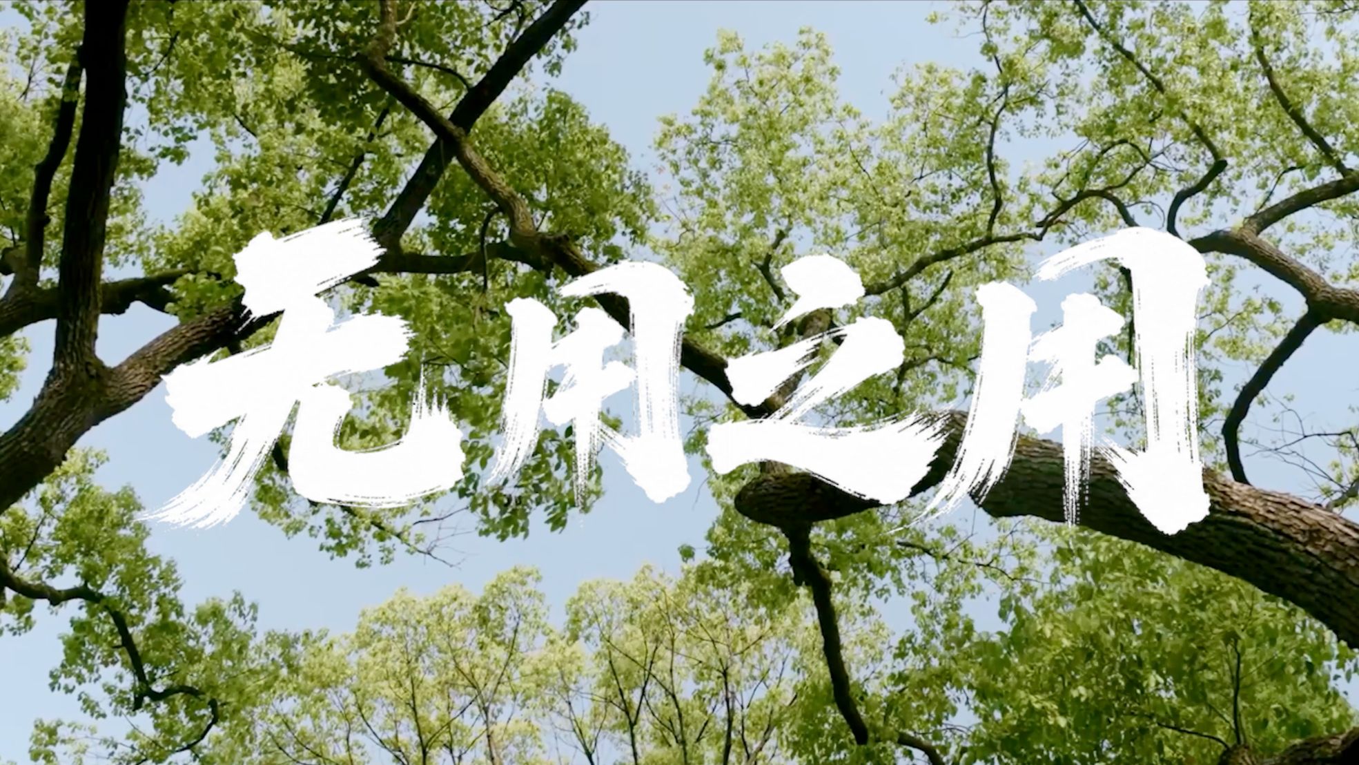 复旦大学2026年本科生招生宣传片《无用之用》发布！