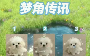 Download Video: 大众梦向|梦角传讯