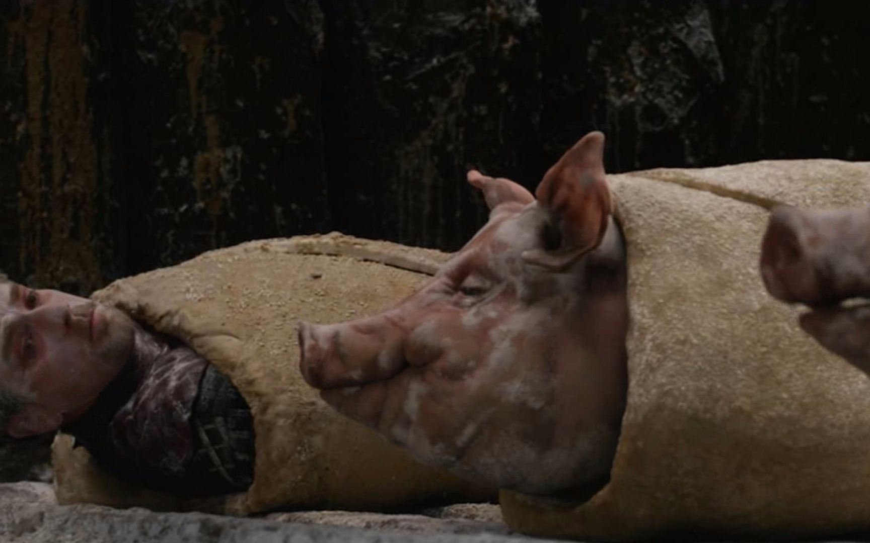 【大白话】人类闯进巨人的地盘,在巨人眼里人和猪一样,卷在饼里就能吃