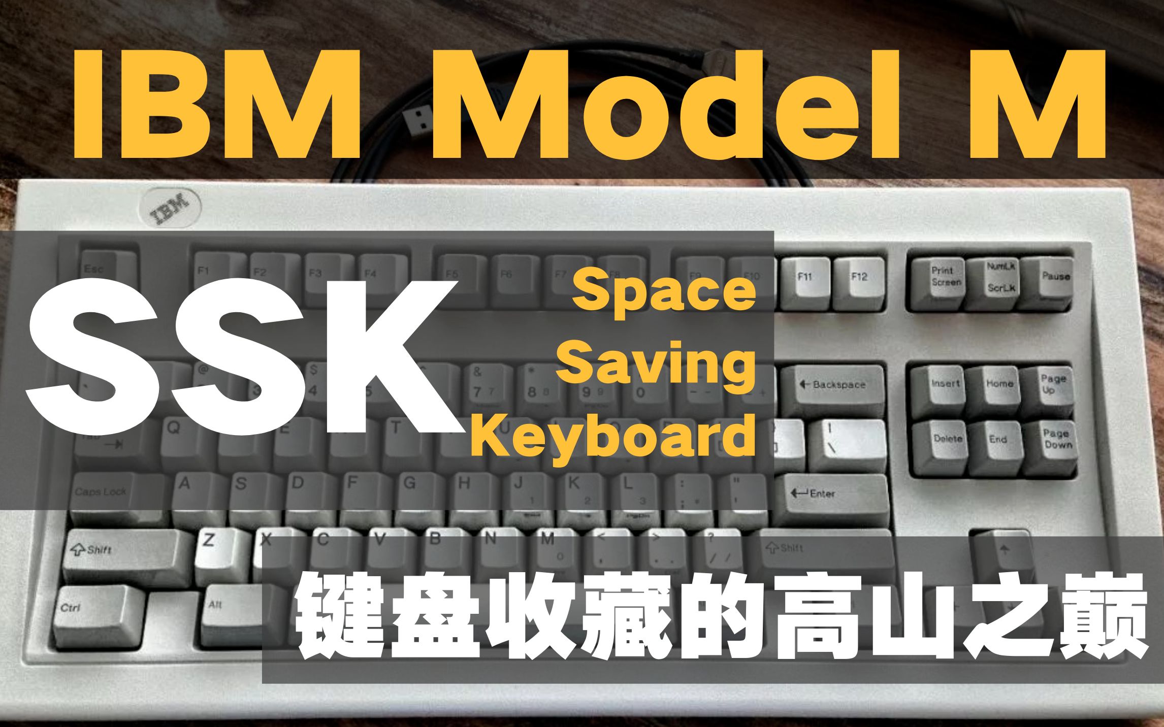 【野火 电子】键盘收藏的高山之巅 IBM Model M SSK! 87键键盘的开山鼻祖 垃圾佬的屈尊弹簧轴键盘【WildFire野火生活频道】哔哩哔哩bilibili