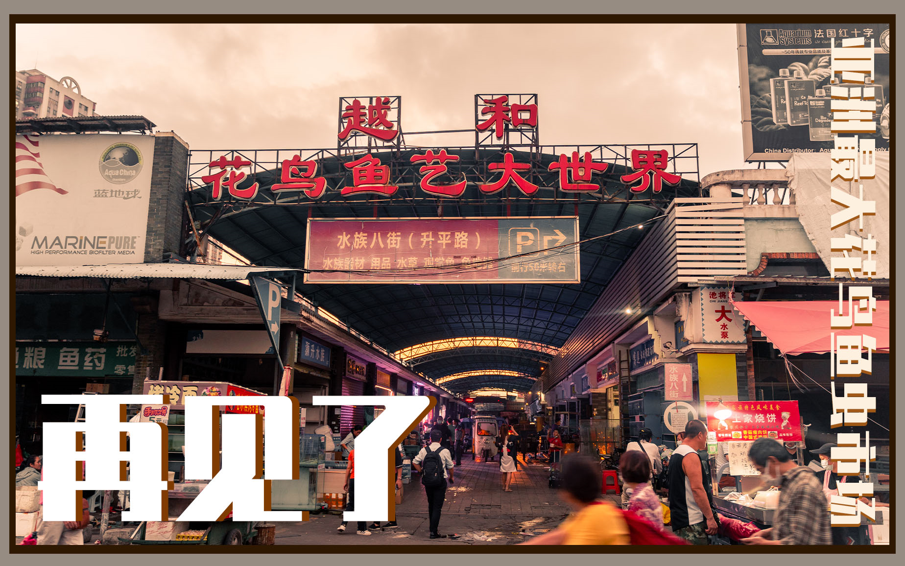 曾经亚洲最大花鸟鱼虫市场 · 再见了花地湾越和花鸟鱼虫市场