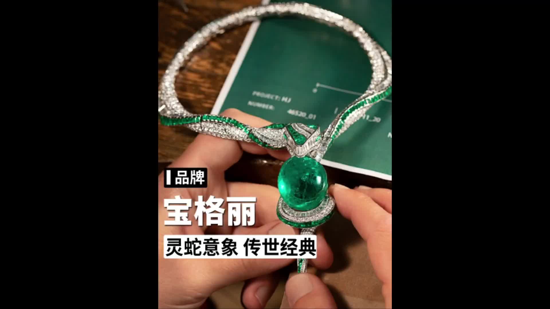 赞达亚宝格丽图片