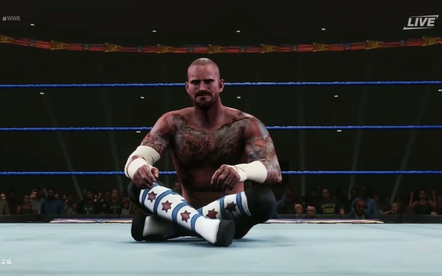 wwe2k19恩怨赛 阿尔伯托德里奥 vs cm朋克_单机游戏热门视频