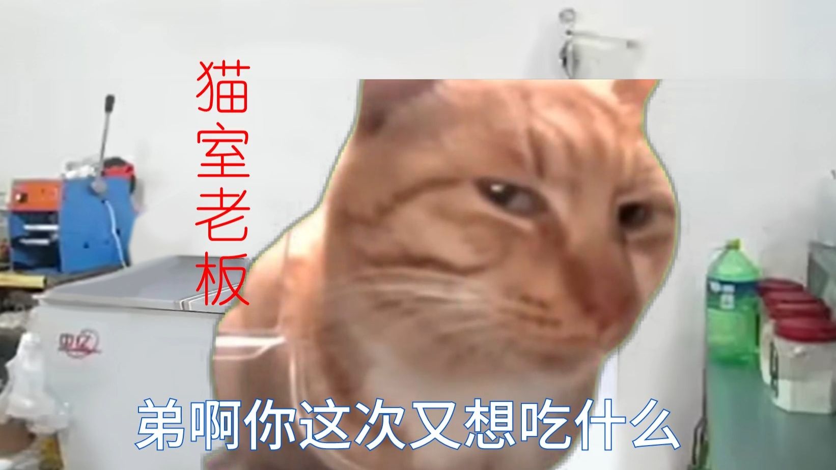 【猫meme】塘埔冰室猫猫搞笑版哔哩哔哩bilibili