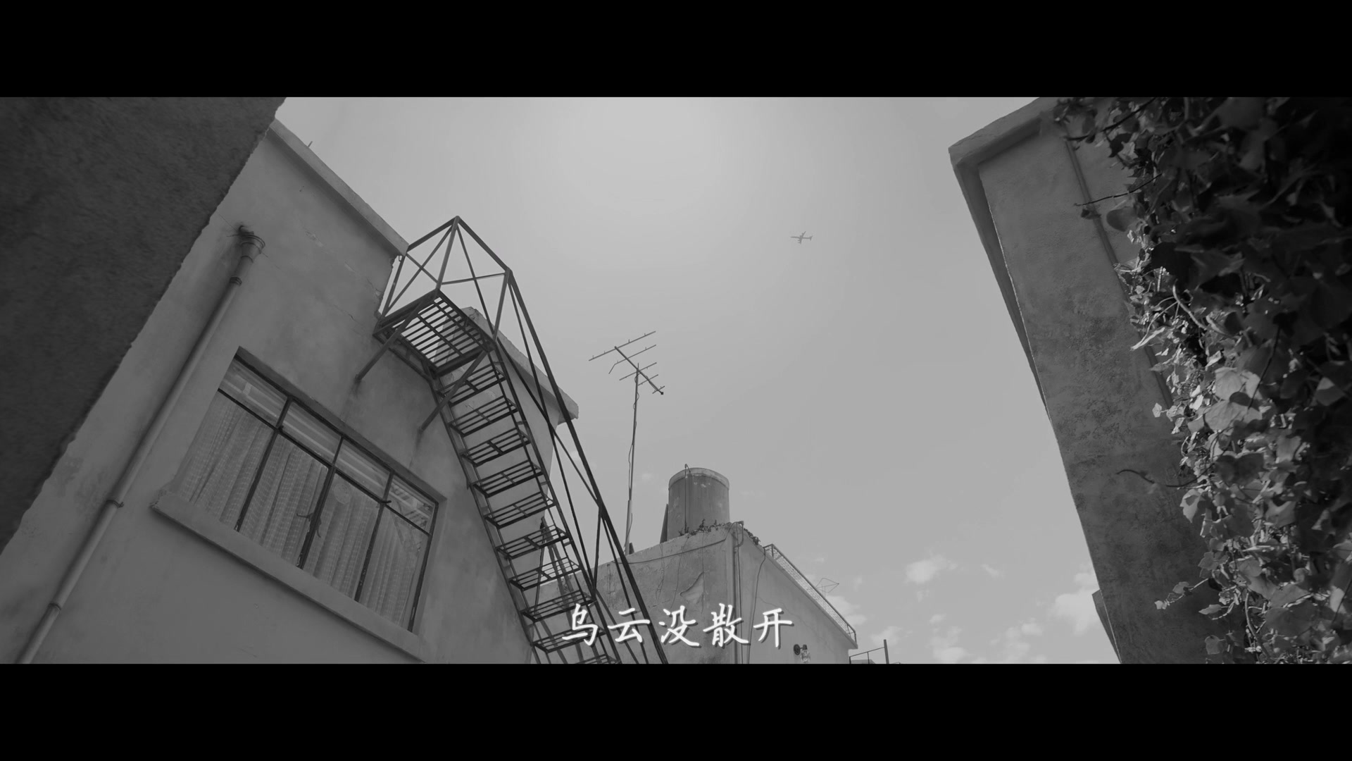 七项奥斯卡大奖《罗马》的头号粉丝原创制造推广曲《黑白天台》,一起静静聆听为何女人都是孤独的哔哩哔哩bilibili