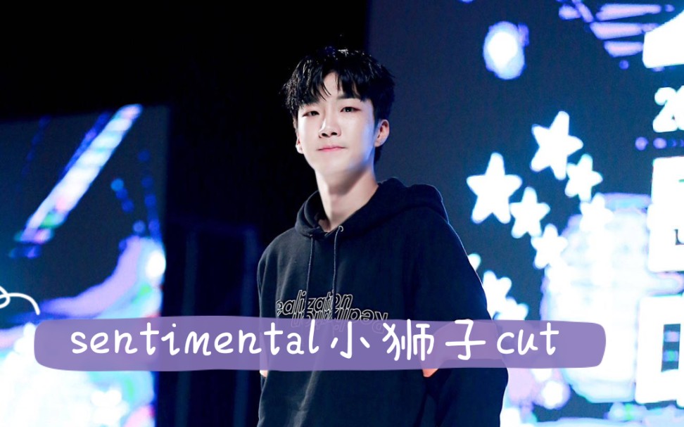 [图]【WINNER】李昇勋情绪化sentimental 舞台cut