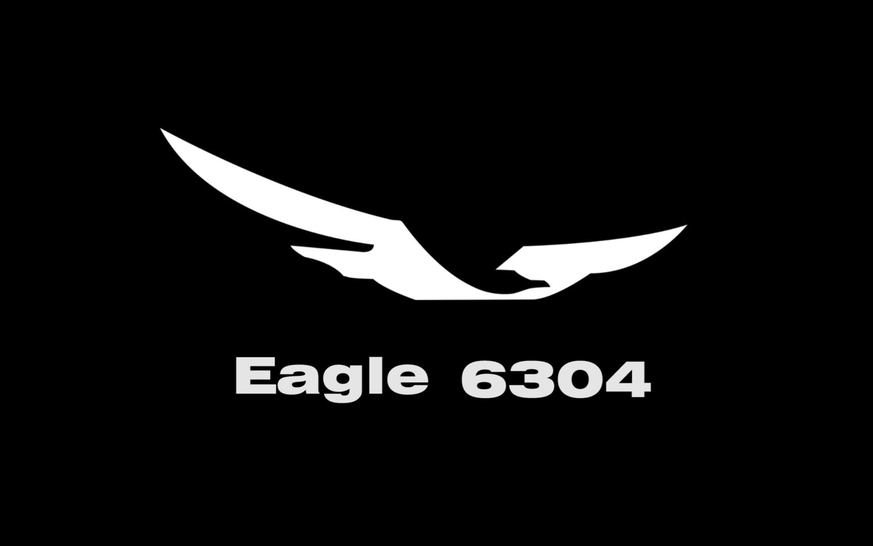 [图]历年EAGLE 6304优秀队员