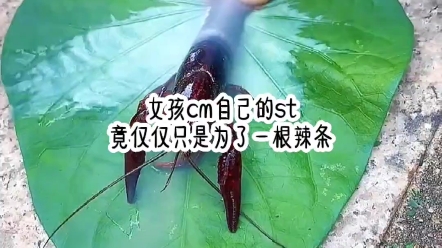 末日快乐哔哩哔哩bilibili