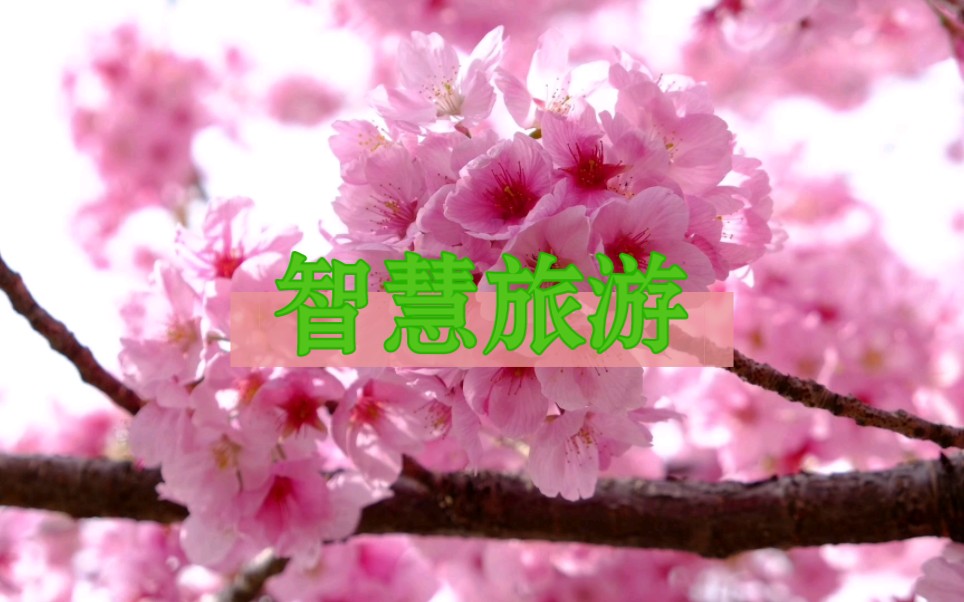 每天一个数字化案例分享—旅游大数据分析服务平台
