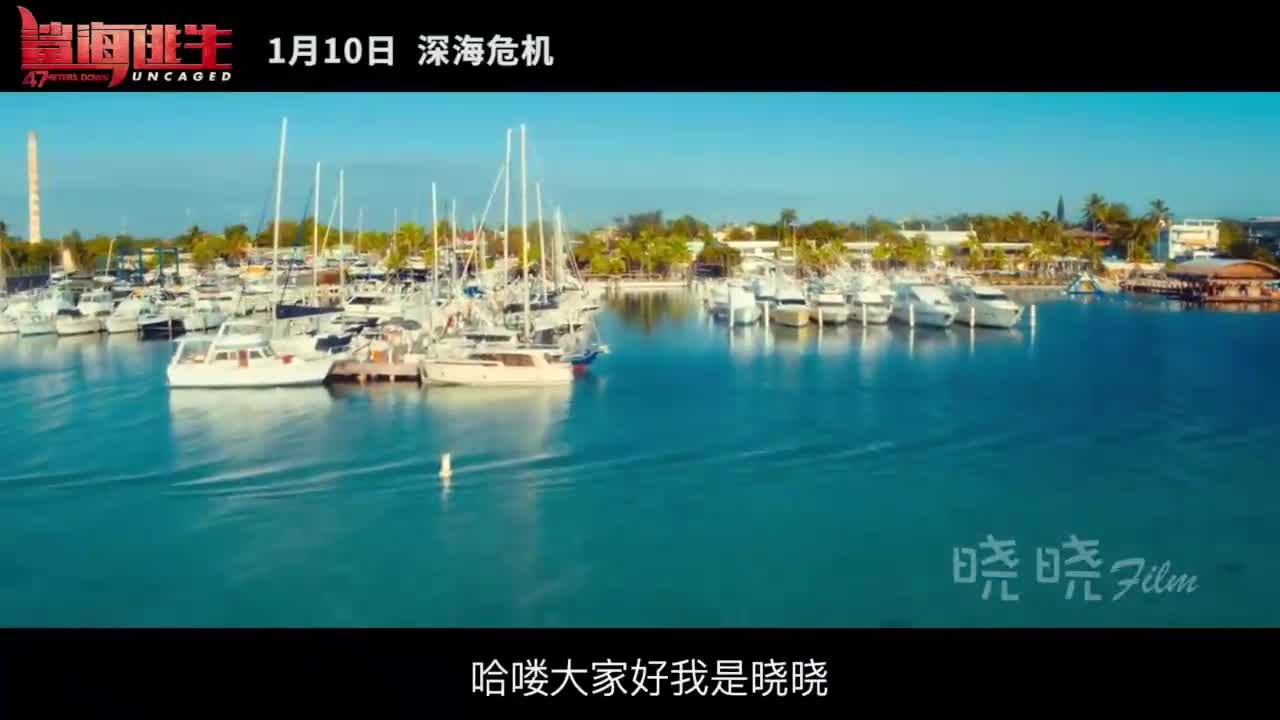 电影鲨海逃生 四姐妹深海探险遭遇凶猛盲鲨