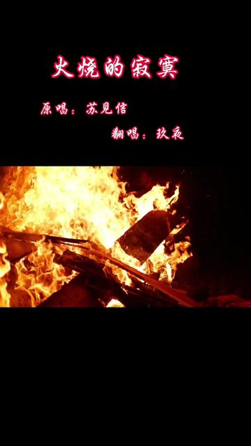 火烧的寂寞 冷冻的沉默!