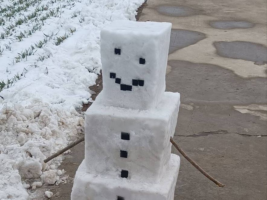 [图]家门口刷雪傀儡了...